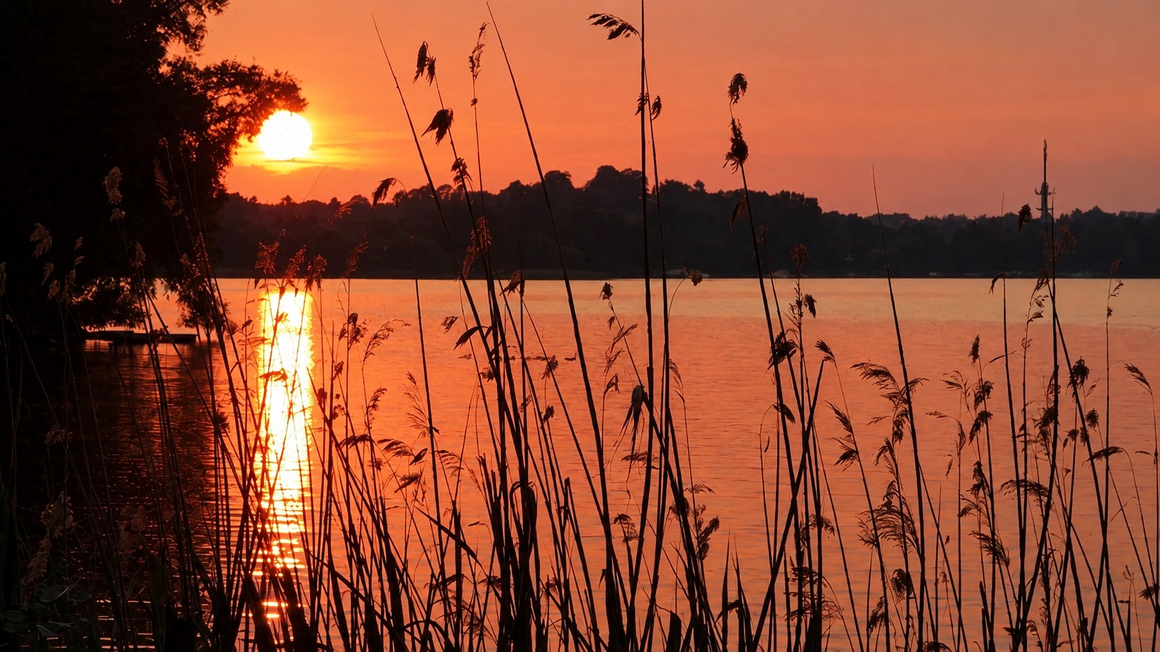 Sunset over the Havel with reeds silhouetted in the foreground