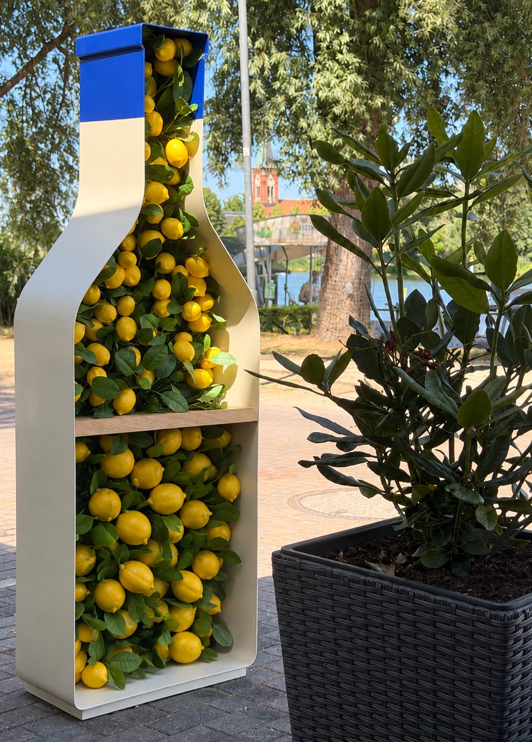 A bottle-shaped display full of lemons outside the Salumeria, with the water behind